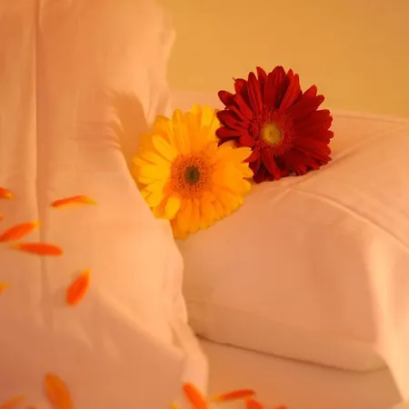 Hotel Etrusco Rio Marina