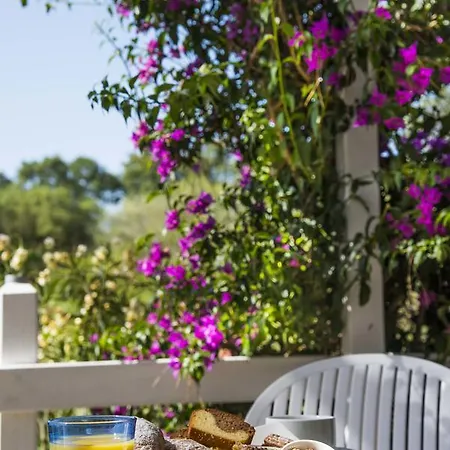 Hotel Etrusco